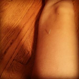 12193541_867698253325817_3286683643626946204_n