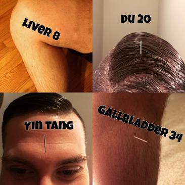 17807572_1252783574817281_8162537599904860955_o